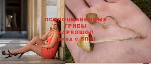 бошки Верхний Тагил
