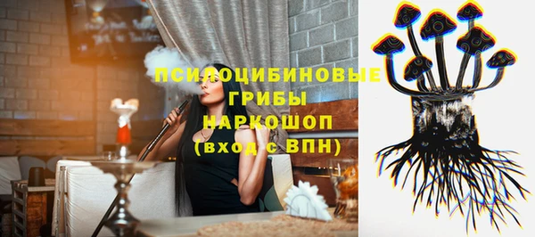 бошки Верхний Тагил